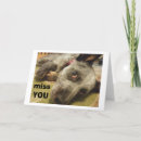 Search for australian cattle dogs cards Blue