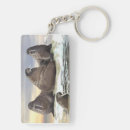 Search for walrus key rings Nature