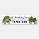 Search for i brake for turtles bumper stickers Animals