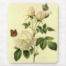 Search for bengal rose Vintage