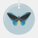 Search for insects christmas tree decorations Summer