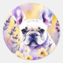 Search for frenchie stickers Pet