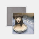 Search for sauce magnets Cat