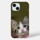 Search for green eyes iphone cases Kitten