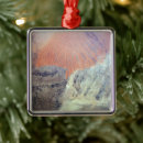 Search for world globe earth christmas tree decorations Space