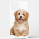 Search for family dog iphone cases Cute
