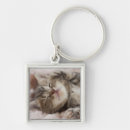 Search for kitten key rings No people