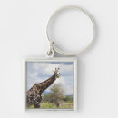 Search for tanzania key rings Horizontal