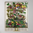 Search for fruit season chart 1732