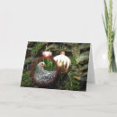 Search for funny chicken christmas cards Hen