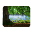 Search for heron magnets Flowers
