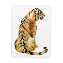 Search for tigers magnets Jungle