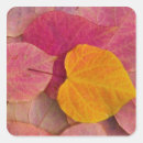 Search for fallen stickers Leaf