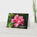 Search for flowers note cards Pink