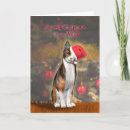 Search for funny wife christmas cards Cat