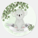 Search for koalas stickers Baby animal