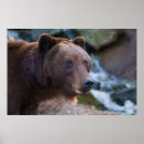 Search for wildlife lover posters Wilderness