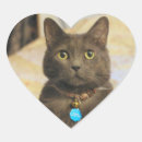 Search for russian blue cats stickers Feline