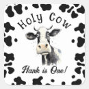 Search for moo cow stickers Holy cow i'm one