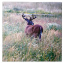 Search for buck tiles Antlers