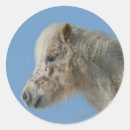 Search for miniature horse stickers Bob langrish