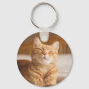 Search for sleepy kitty key rings Tired
