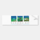 Search for hawaii bumper stickers Honolulu