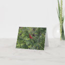 Search for cardinal thank you cards Red