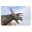 Search for dinosaurs magnets Fun