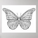 Search for butterfly mandala art Zen doodle style