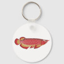 Search for arowanas Red