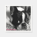 Search for french bulldog napkins Frenchie