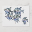 Search for sea paintings postcards Fish