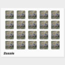 Search for wildlife photography stickers Reptile