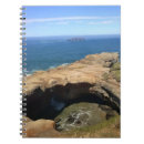 Search for otter notebooks Ocean