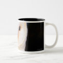 Search for barn owls mugs Brown
