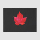 Search for maple leaf tissue paper Nature