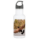 Search for fly water bottles Animal