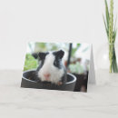 Search for keep in touch cards Cute
