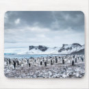 Search for antarctic electronics Snow