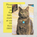Search for russian invitations Cat