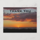 Search for sun photo cards Appreciation