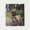 Search for french bulldog art Cute dog
