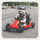 Search for kart racing stickers Racer