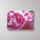 Search for pink peonies canvas prints Red