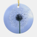 Search for dandelion christmas tree decorations Flower