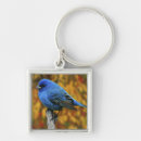 Search for backyard bird key rings Nature