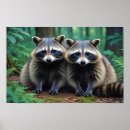 Search for racoon art posters Wildlife