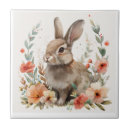Search for wildlife tiles Rabbit