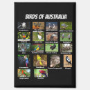 Search for white birds magnets Colourful